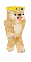 Skin preview