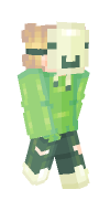 Skin preview