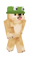 Skin preview