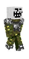 Skin preview