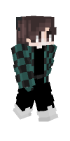 Skin preview