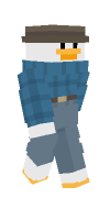 Skin preview