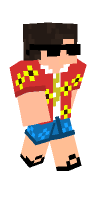 Skin preview