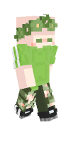 Skin preview