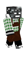 Skin preview