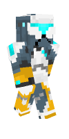 Skin preview