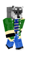 Skin preview