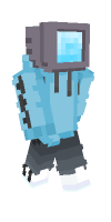 Skin preview