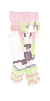 Skin preview