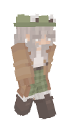 Skin preview