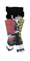 Skin preview