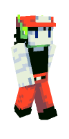 Skin preview