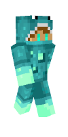 Skin preview