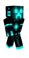 Skin preview