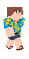 Skin preview