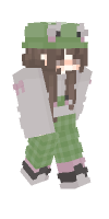 Skin preview