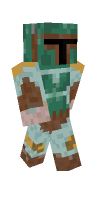Skin preview