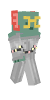 Skin preview