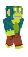 Skin preview