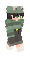 Skin preview