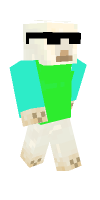 Skin preview