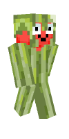 Skin preview