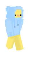 Skin preview