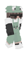 Skin preview