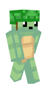 Skin preview