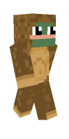 Skin preview