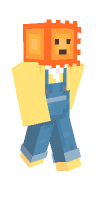 Skin preview