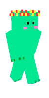 Skin preview
