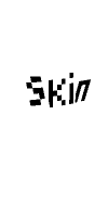 Skin preview