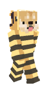 Skin preview