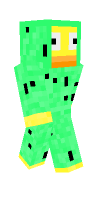 Skin preview