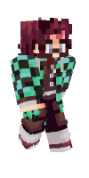 Skin preview