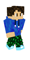 Skin preview