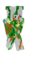 Skin preview