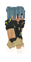 Skin preview