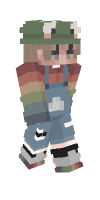 Skin preview