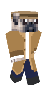 Skin preview