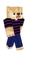 Skin preview