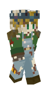 Skin preview
