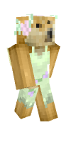 Skin preview