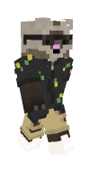 Skin preview