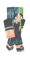 Skin preview