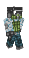 Skin preview