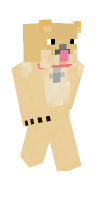 Skin preview