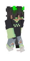 Skin preview