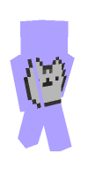 Skin preview